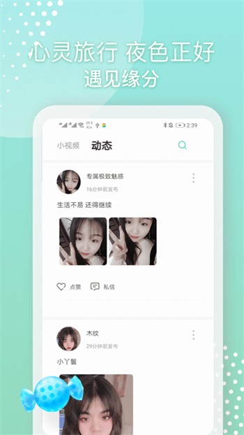 花蝴蝶在线观看免费版高清完整版下载