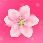 花蝴蝶免费看片日本经典版