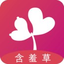 最近的2019中文字幕免费版