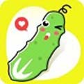 青柠直播www日本在线观看最新版
