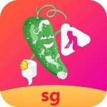 992tv影视apk下载安装